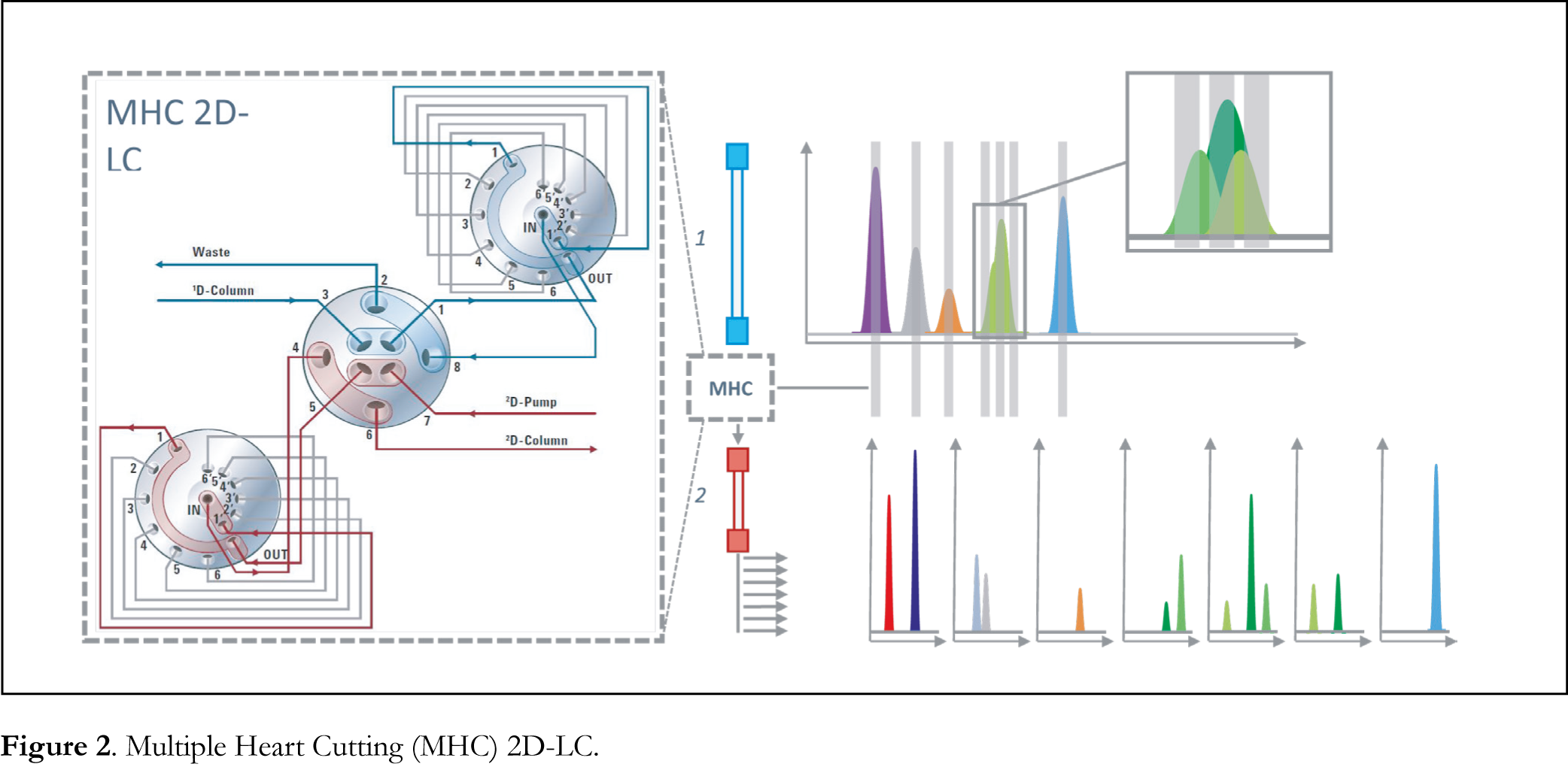 Figure2 jab17015